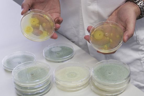 [Translate to English:] 