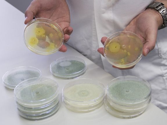 [Translate to English:] 