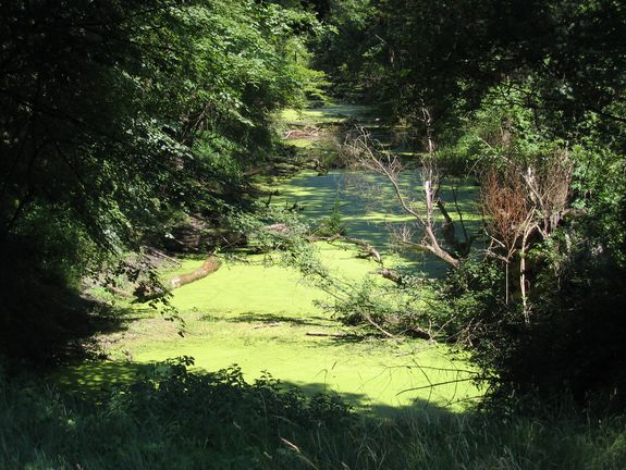 Abb. 3: Von innen beleuchtete Eiskuppel.