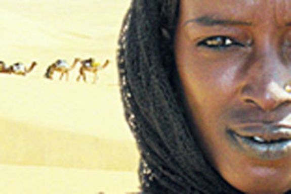 VUT researchers Gilbert Wondracek (left) and Christian Platzer (right)