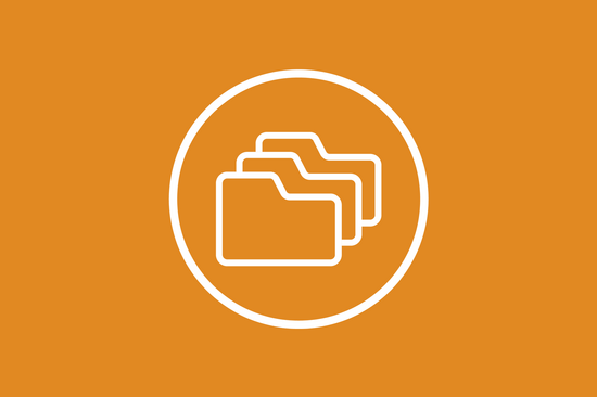 Unser Icon "Datenorganisation" auf orangem Hintergrund