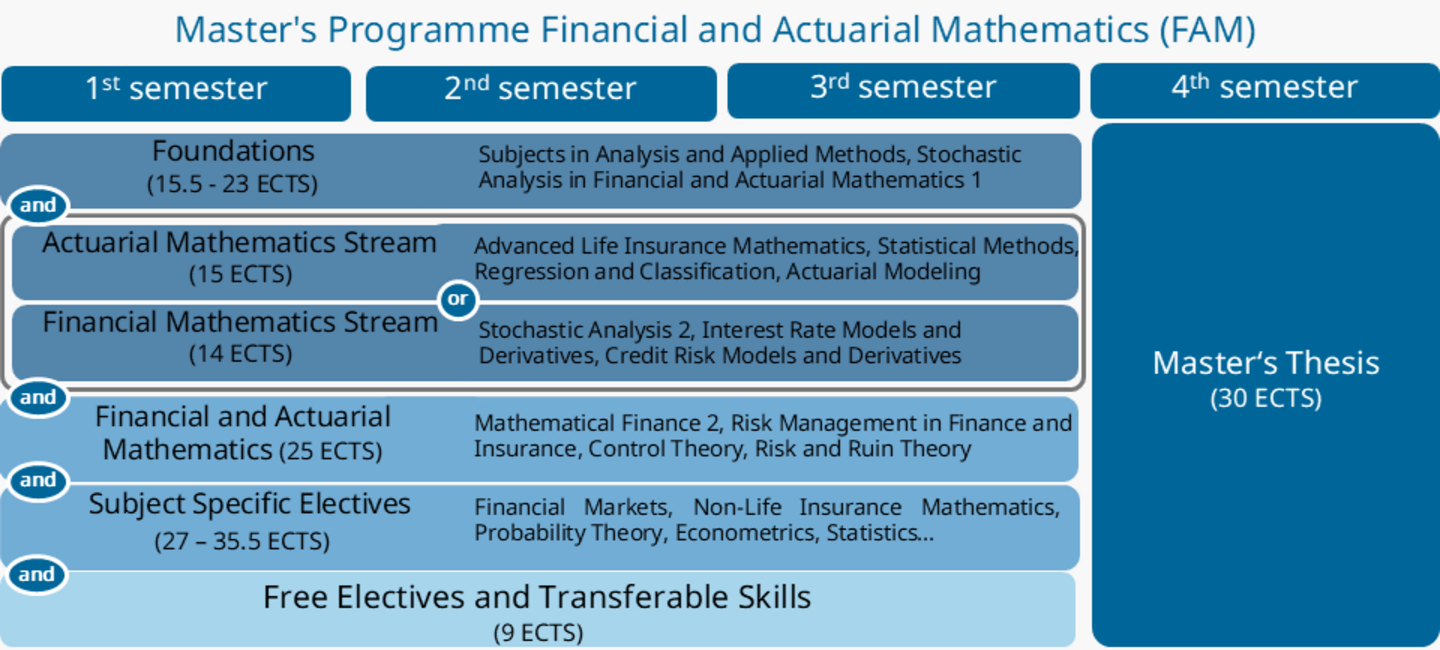 Schematische Darstellung des Studienplans Financial and Actuarial Mathematics
