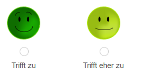 [Translate to English:] Smileys "Trifft zu" Trifft eher zu" "Weiss nicht" "Trifft eher nicht zu" "Trifft zu"