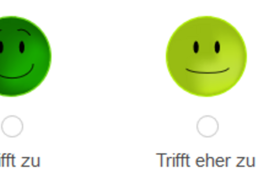 [Translate to English:] Smileys "Trifft zu" Trifft eher zu" "Weiss nicht" "Trifft eher nicht zu" "Trifft zu"