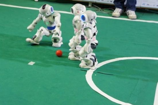 Die Austrian Kangaroos in Angriffsstellung