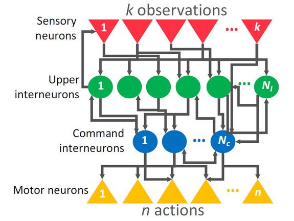 Neuronales Netz: Unterschiedliche Schichten von Neuronen sind übereinandergelagert, die Neuronen beeinflussen einander.
