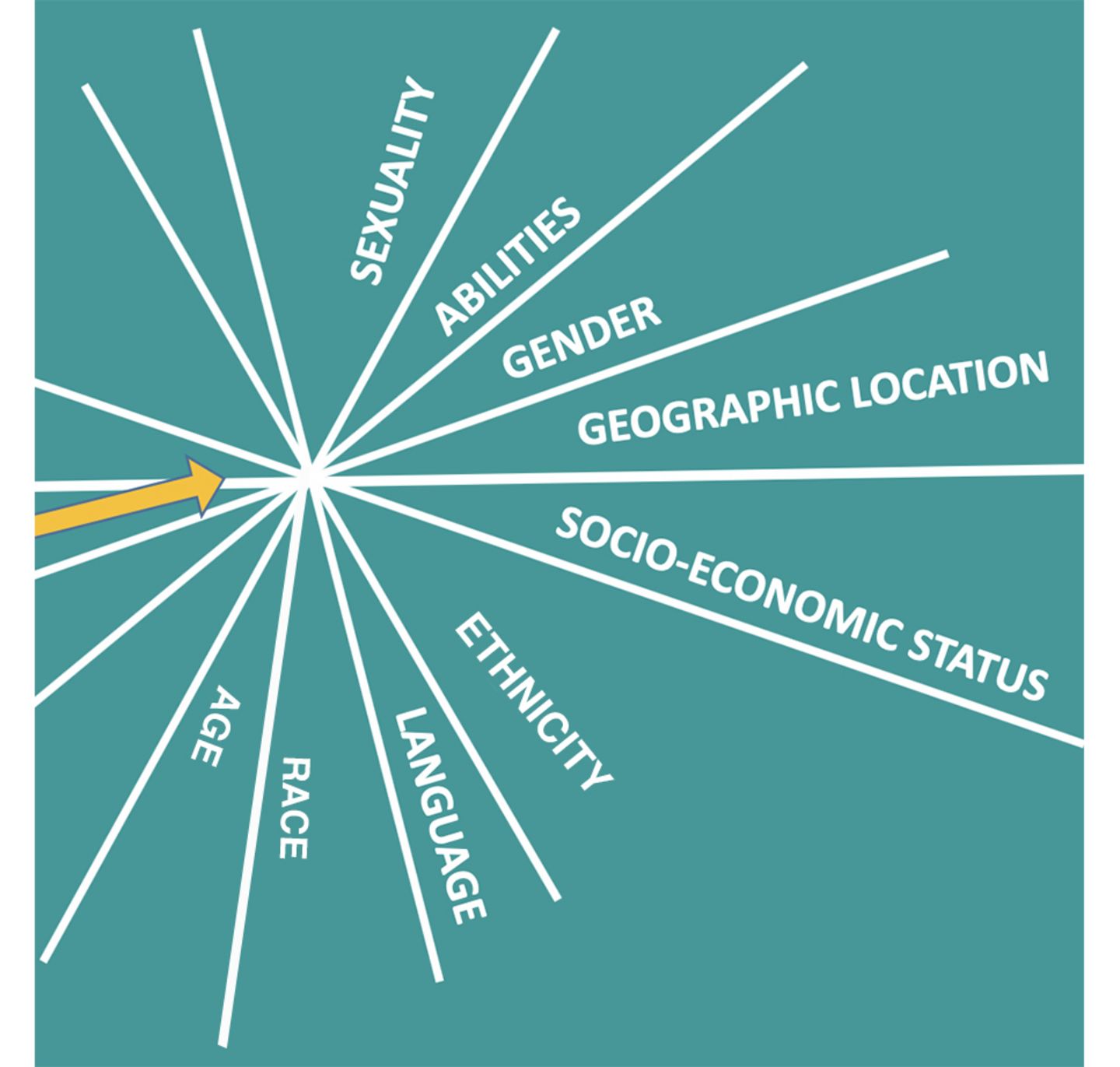 Viele weiße Linien auf türkisem Hintergrund treffen sich und bilden einen Knotenpunkt. An den Linien steht: Sexuality, Abilities, Gender, Geographic Location, Socio-economic Status, Ethnicity, Language, Race und Age.