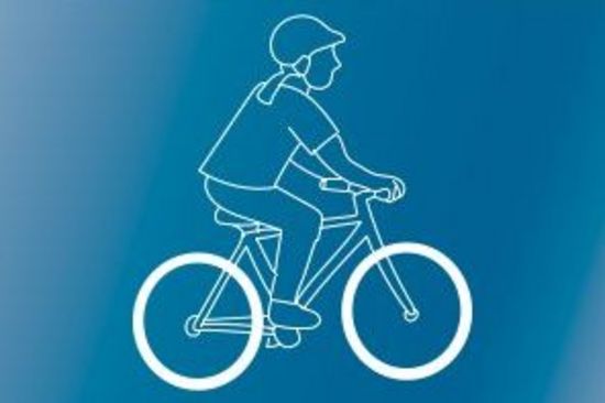 cycleFIT Feedback Box