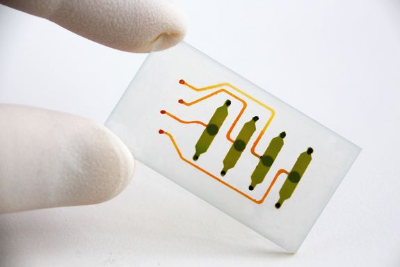 mikrofluidischer Bio-Chip 01