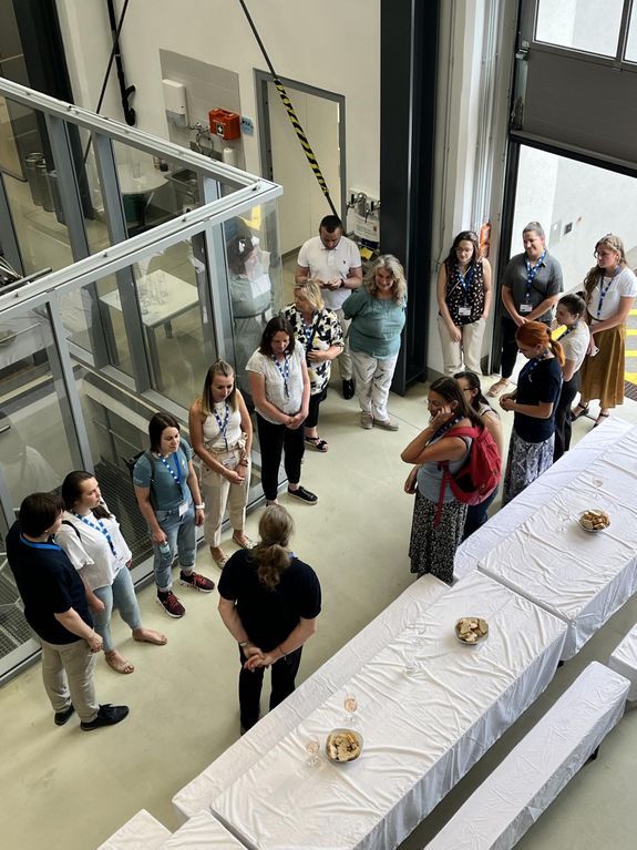 Gruppe von Menschen im Kreis von oben fotografiert