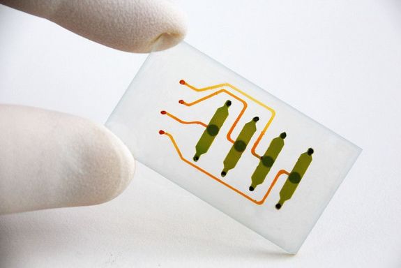 Winzige Löcher werden in Zellrasen gestanzt, um Wundheilung zu untersuchen.