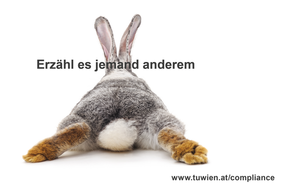 hase von hinten, Teil der Kampagne zum Hinweisgebersystem an der TUW