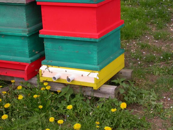 Die Fluglöcher der Bienenstöcke sind bis auf zwei Röhrenkollektoren verschlossen.
