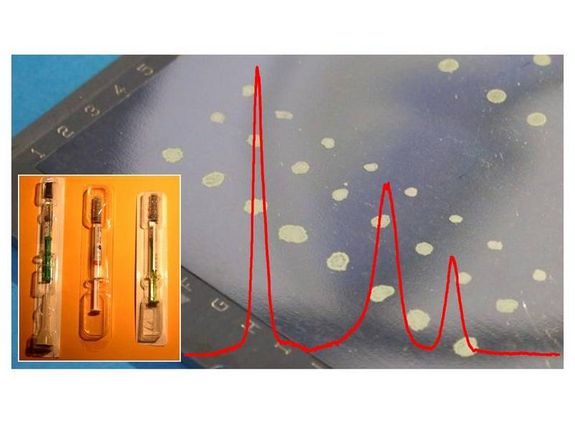 Der indische Physiker Arjun Bagchi (rechts) besucht derzeit die TU Wien und hat kürzlich ein Lise-Meitner Fellowship vom FWF erhalten, um in Zusammenarbeit mit Daniel Grumiller (links) die neuen holographischen Zusammenhänge in flachen Raumzeiten zu erforschen.