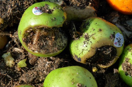 Fotos: Kirchmayr, Waltenberger