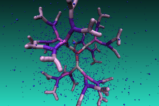 [Translate to English:] DNA-basiertes Dendrimer der fünften Generation, eingetaucht in eine Gegenionenlösung. Regelmäßige Hohlräume im Inneren dieses neuartigen Makromoleküls können als Nanoteilchen-Träger eingesetzt werden.