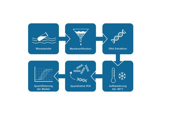 Ablauf des Wassertest dargestellt durch weiße Symbole die in zwei Ebene mit einander verbunden sind – von Links oben nach Rechts oben nach Rechts unten nach Links unten: Wasserprobe – Membranfiltration – DNA Extraktion – Aufbewahrung bei 80°C – Quantitative PCR – Quantifizierung der Marker
