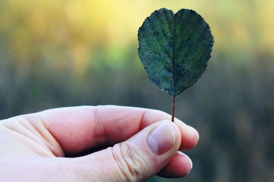 Life Sciences an der TU Wien