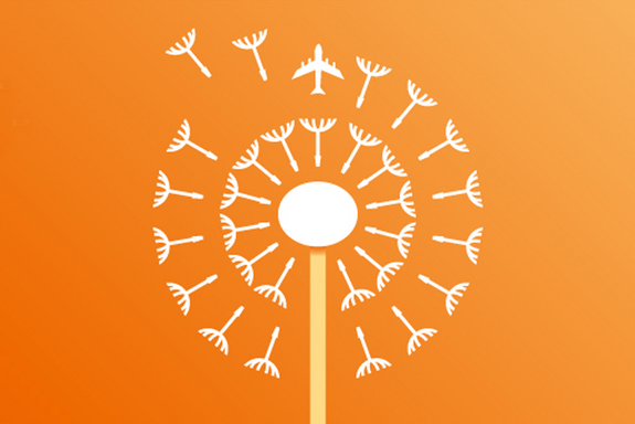 "Seeds for the Future"-Logo