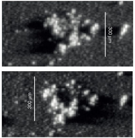 Ein zweiter Staubpartikel
