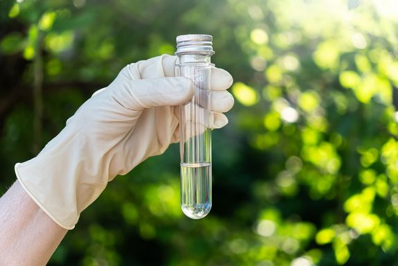 Hand, die Reagenzglas festhält.