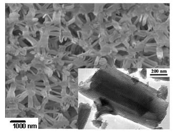 Elektronenmikroskopie-Aufnahme von analog hergestelltem Siliciumdioxid