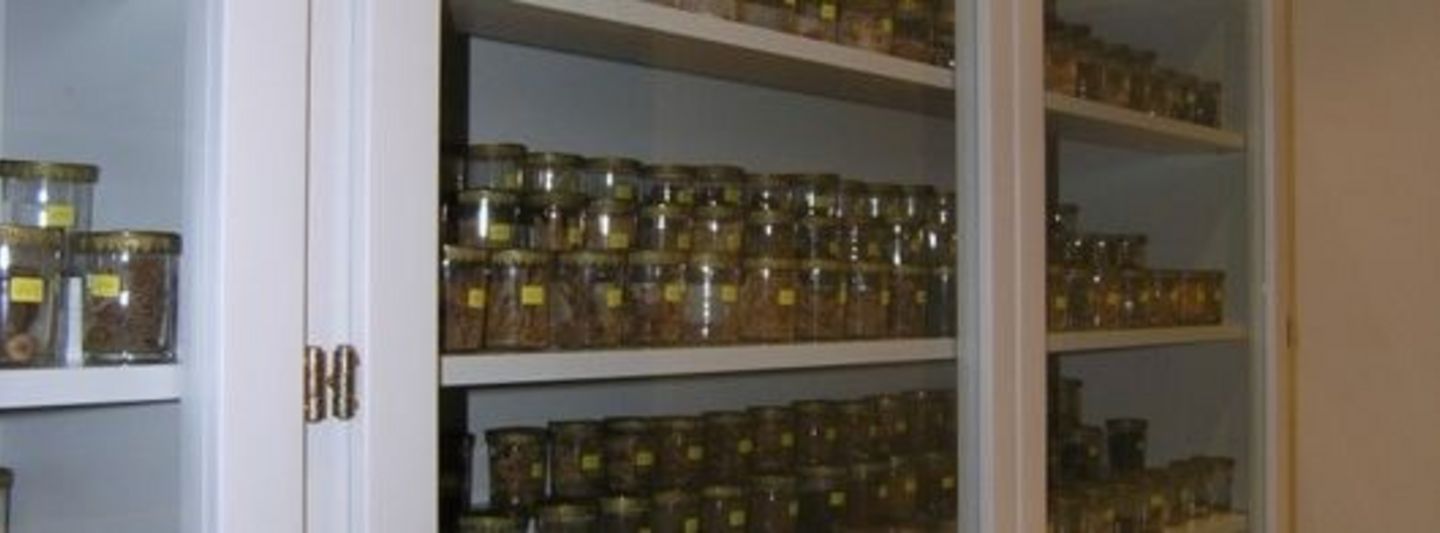 Objekte der Sammlung