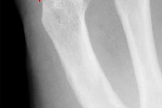 Dipl.-Ing. Michael Kaiser, Em.O.Univ.Prof. Dr. Franz Wojda, Vizerektor Dr. Paul Jankowitsch