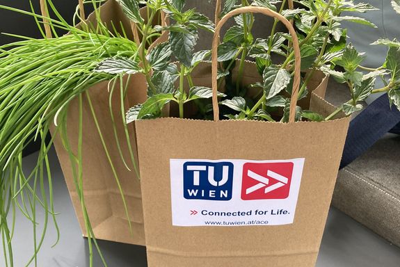 Kräuter als give-aways