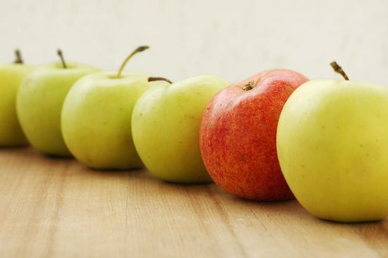 [Translate to English:] roter Apfel zwischen grünen Äpfeln