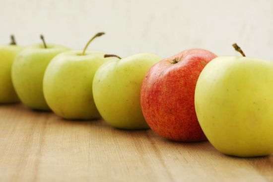 roter Apfel zwischen grünen Äpfeln