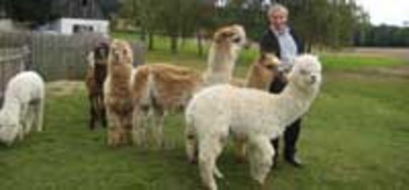 Coverstory: Der perfekte Biorasenmäher (Foto privat)