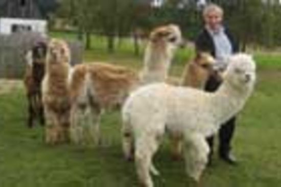 Coverstory: Der perfekte Biorasenmäher (Foto privat)