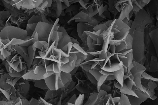 Neue Kunststoffe – große Leistung: "Mikro-Blumen" aus PPPI, eines der stabilsten organischen Polymere der Welt. Die hochkristallinen Blumen haben einen Durchmesser von etwa fünf Mikrometern.