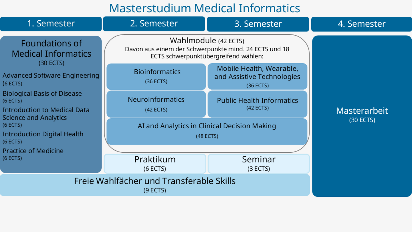 Grafische Darstellung des Curriculums Medical Informatics