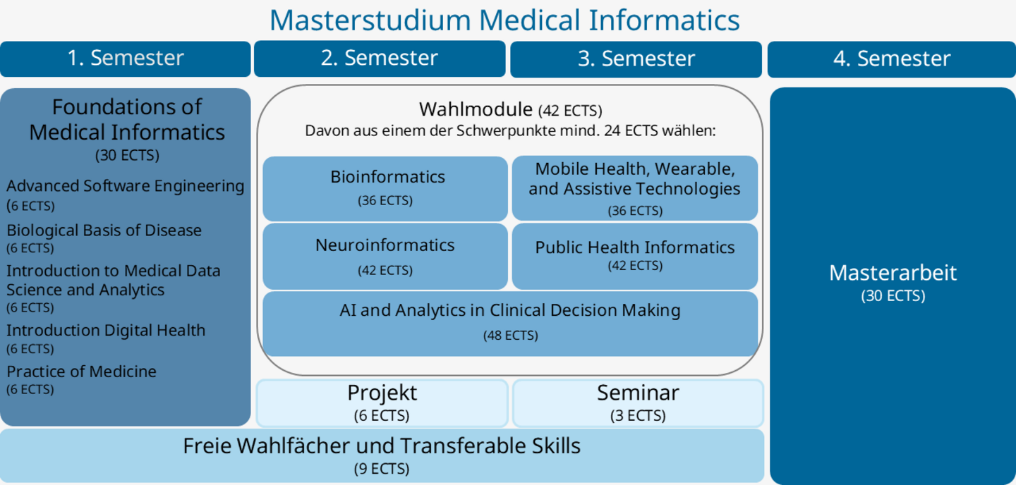 Grafische Darstellung des Curriculums Medical Informatics