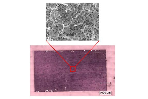 the sponge-like three dimensional structure of the material