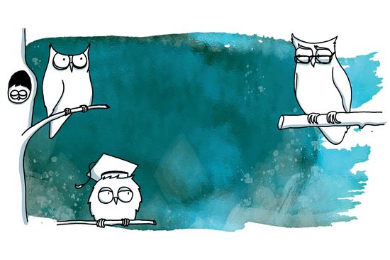 AKG Schmuckbild mit Eulen