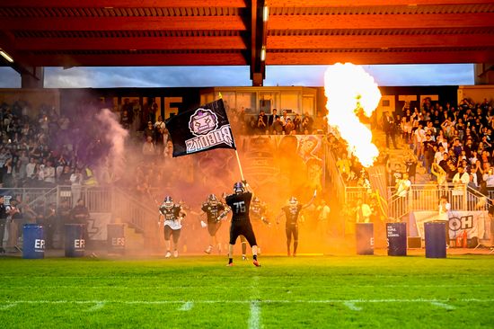 Im Vordergrund sieht man einen Footballspieler, der eine Fahne schwenkt. Auf dieser steht "Robots" und es ist das Maskottchen der TU Robots, ein Roboterkopf, abgebildet. Im Hintergrund laufen weitere Footballspieler ins Stadion ein. Weiter hinten sieht man das jubelnde Publikum. Neben den Footballspielern rechts ist einen große Stichflamme zu sehen, die als Showelement eingebaut wurde. 