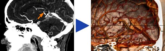 Vizerektor Gerhard Schimak