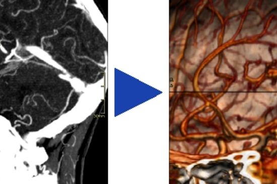 Vizerektor Gerhard Schimak