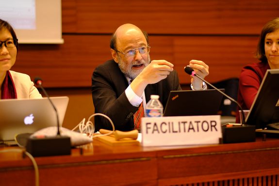 Prof. Tjoa bei der letzten United Nations CSTD-Sitzung im Mai 2018