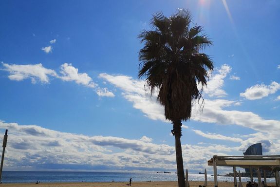 Strand mit Palme