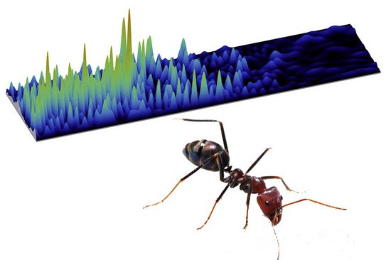 Ein Grafik mit vorgehobenen Stellen vs. Ameisen