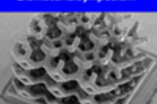 Die TeilnehmerInnen des Professional MBA Entrepreneurship & Innovation 2011 – 2013