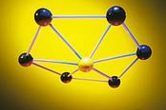 Marita Haas (Foto: privat)