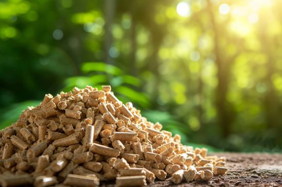 Kompaktprogramm Biomass, Biogas and Biofuels