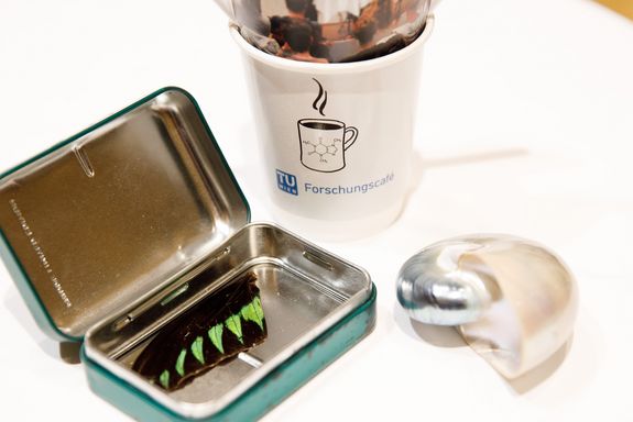 On the bottom left you can see a metal box with a torn off butterfly wing. On the bottom right is a snail shell. In the middle above is a cardboard coffee cup with the inscription "TU Wien Forschungscafé".