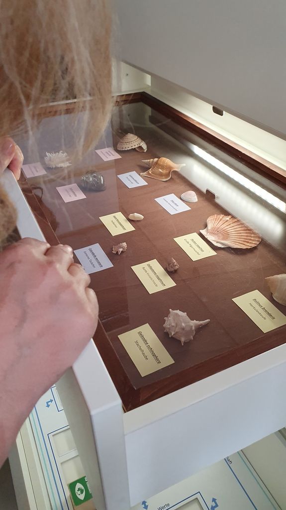 Teamarbeit und kreative Ansätze 