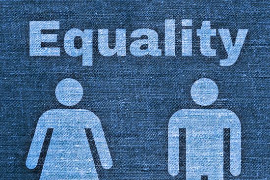 Fabric printed with "Equality" and pictogram figures